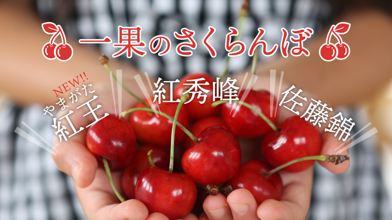 一果のさくらんぼ
